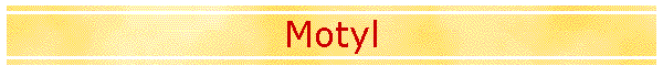 Motyl