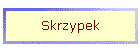 Skrzypek