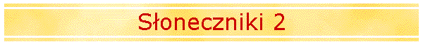 S�oneczniki 2