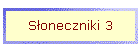 S�oneczniki 3