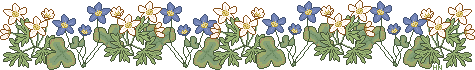 sprln1c.gif