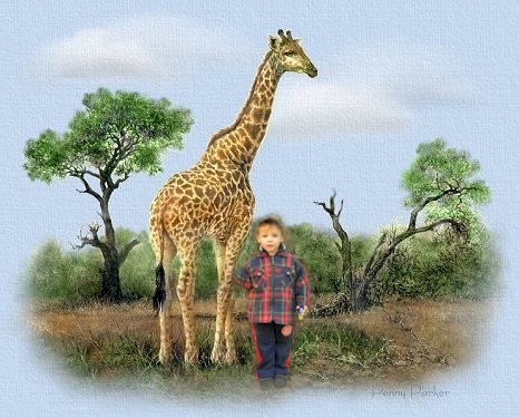 Giraffe