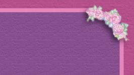 ballerinabeartopright.jpg