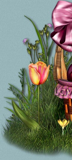 headerpic