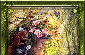 woodnymphhead2_1x1.jpg - 93605 Bytes