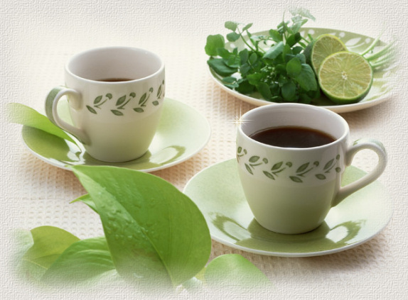 &copy;www.comteche.com