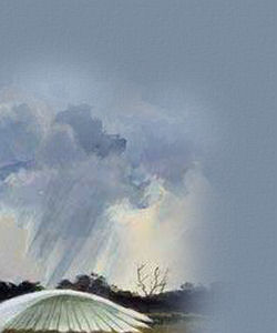 Do not use my headers as sigtags in emails