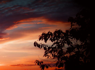 Do not use my headers as sigtags in emails